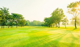 空气中含量最多的气体是什么气体 空气中含量最多的气体是什么气体化学式