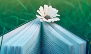 鞠躬尽瘁下一句是什么意思（鞠躬尽瘁下一句是什么意思啊）