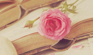 山外青山楼外楼的下一句是什么意思 山外青山楼外楼是什么意思