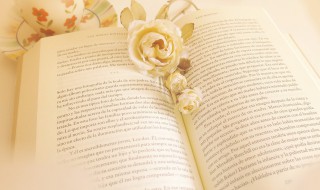 以管窥天以蠡测海的意思 以管窥豹,以蠡测海