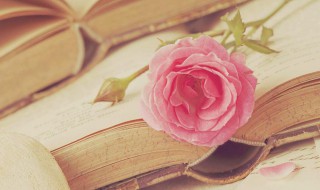 说一是一说二是二的意思（说一是一,说二是二是什么字?）