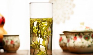 茶的来历 茶的来历20字