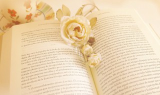 一着不慎满盘皆输的意思（一着不慎全盘皆输的意思）