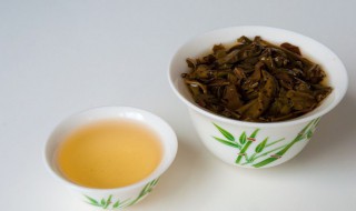 芽孢茶属于什么茶（芽孢茶属于什么茶类）