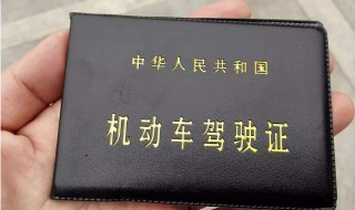 申请电子驾照有什么用 电子驾照申请成功是什么样