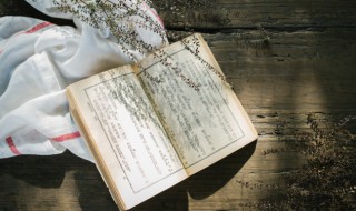 身不由己言不由衷什么意思（身不由已言不由衷的意思）