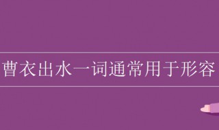 曹衣出水一词通常用于形容什么 曹衣出水一词通常用于形容什么的精湛