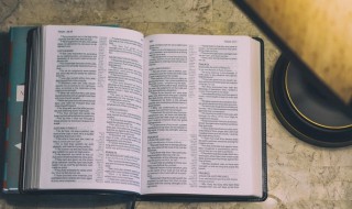 情怀渐觉成岚晚鸾镜朱颜惊暗换是什么意思 情怀渐觉成岚晚鸾镜朱颜惊暗换解释