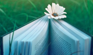 上海话克格勃是什么意思