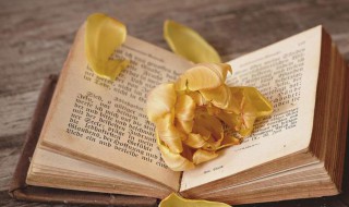 互为倒数是什么意思（两个数互为倒数是什么意思）