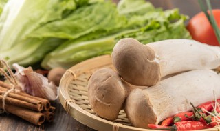 鸡腿菇煎鸡块的做法(鸡腿菇煎鸡块的做法视频)