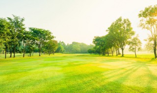台风和飓风区别（台风和飓风区别图）
