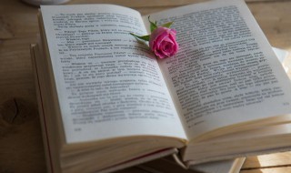 行不更名坐不改姓的意思 行不更名坐不改姓的意思是什么