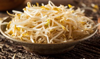 种豆芽怎么种(在家里种豆芽怎么种)