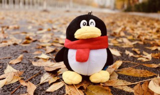 qq红包怎么转到微信红包（微信红包怎样转到QQ）