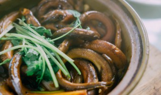 清蒸鳝鱼怎么做? 清蒸鳝鱼怎么做好吃窍门