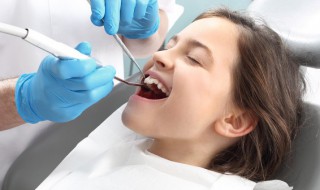 臼齿怎么读（犬齿和臼齿怎么读）