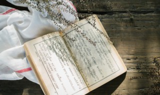 浃怎么读 浃怎么读组词