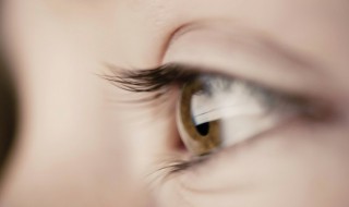 种的睫毛在家怎么卸下来 种的睫毛在家怎么卸下来除了卸妆膏