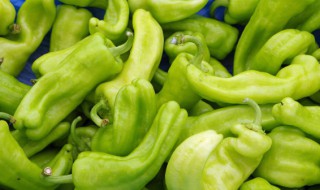湖南白辣椒怎么做（湖南白辣椒怎么做的）
