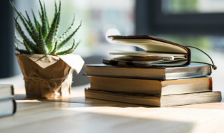 囯怎么读（眺怎么读）