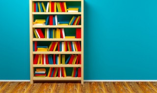 一则以喜一则以惧的意思 一则以惧上一句