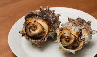 海螺怎么做蒸还是煮（海螺的做法蒸还是煮）