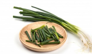 怎么种小葱 怎么种小葱长得快