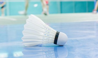 打羽毛球用英语怎么说 打羽毛球用英语怎么说短语