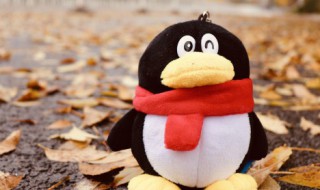 怎么看手机号绑定了几个qq（怎么看手机号绑定了几个QQ密保）