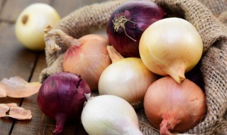 洋葱怎么种植步骤 洋葱怎么种植步骤图视频
