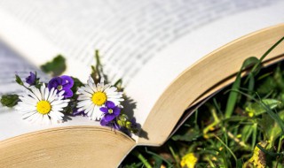 馑怎么读 疫疠饥馑怎么读