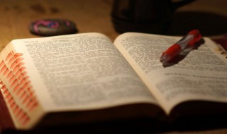 鳔怎么读(鱼鳔的鳔怎么读)