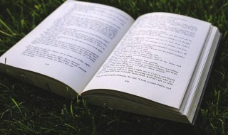 泷怎么读（泷怎么读写）