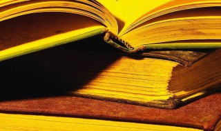 生子痴了官事的意思（生子痴 了官事,官事未易了也）