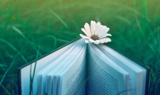 狂风不终朝骤雨不终日的意思 飘风不终朝骤雨不终日什么意思