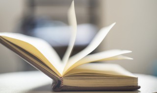 狮象搏兔皆用全力的意思（狮子搏象兔,皆用全力）