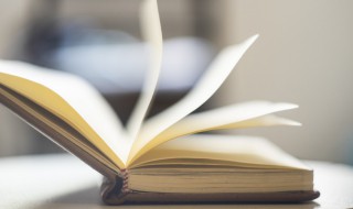 大处着眼小处着手的意思 大处着眼小处着手的意思相近的