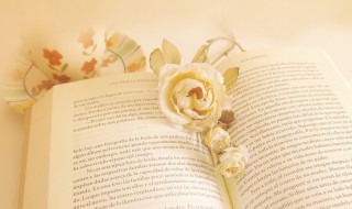 上不在天下不着地的意思（上不了天下不了地啥意思）