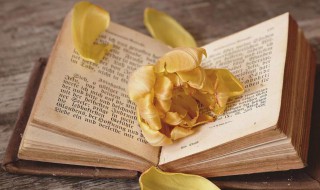 遥知不是雪为有暗香来的意思是什么（遥知不是雪为有暗香来的意思是啥）