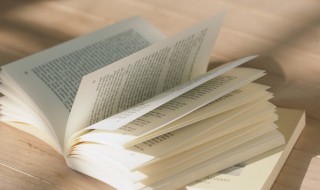 自谋职业收入是什么意思 自谋职业收入是什么意思呢