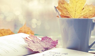 钟山风雨起苍黄是什么意思（钟山风雨起苍黄是什么意思?）