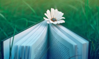 妈妈生日鲜花卡片留言 妈妈生日鲜花卡片留言20字