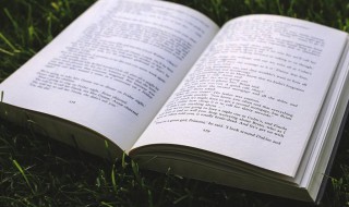 蕊怎么读音 蕊怎么读音粤语