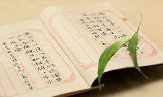 朊怎么读 肮怎么读