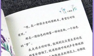 10个暖人心的治愈微小说（温暖心灵的治愈系小说）