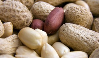 花生汤的家常做法 花生汤的家常做法视频