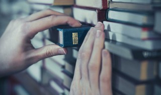 鵰心鹰爪是什么意思（雕心雁爪什么意思）