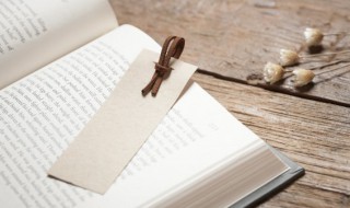 方面大耳的意思（大耳朵指的是什么）