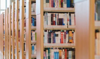 本枝百世的意思（本枝百世是什么签）